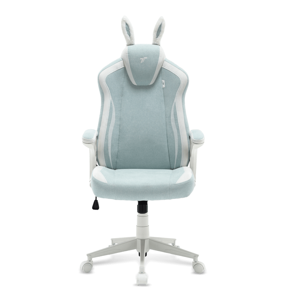 เก้าอี้เกมมิ่ง TTRacing Duo V4 ผ้า BunnyBliss Edition